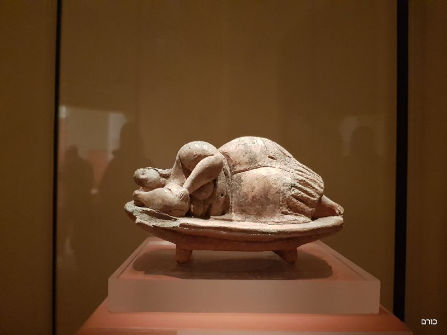 ונוס של מלטה, המוזיאון הארכיאולוגי בוולטה